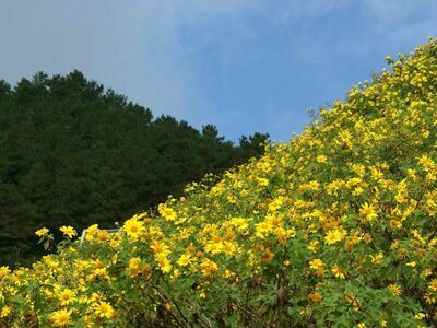 Doi Mae U-Kho, Mae Hong Son, Thailand