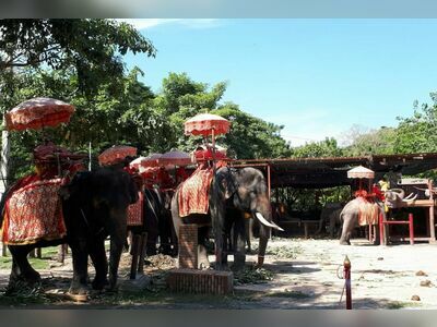 Ayutthaya Elephant Palace & Royal Kraal, Thailand