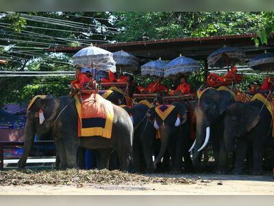 Ayutthaya Elephant Palace & Royal Kraal, Thailand