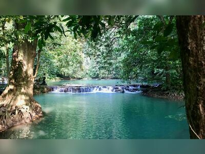 Ao Luk Mangroves, Krabi, Thailand: Nature’s Hidden Gem