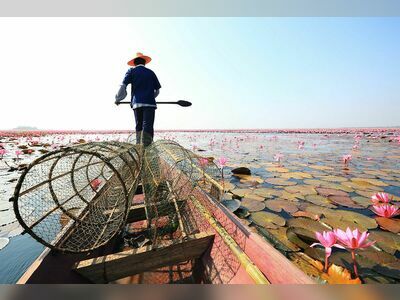 Red Lotus Sea (Talay Bua Daeng), Udon Thani, Thailand