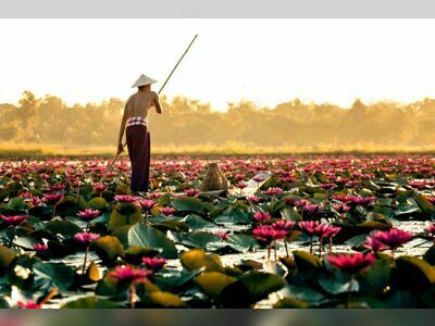 Red Lotus Sea (Talay Bua Daeng), Udon Thani, Thailand