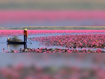 Red Lotus Sea (Talay Bua Daeng), Udon Thani, Thailand