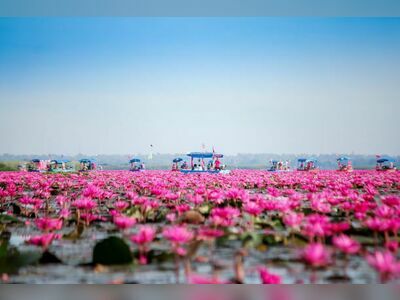 Red Lotus Sea (Talay Bua Daeng), Udon Thani, Thailand