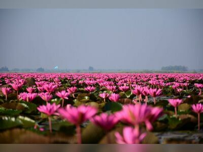 Red Lotus Sea (Talay Bua Daeng), Udon Thani, Thailand
