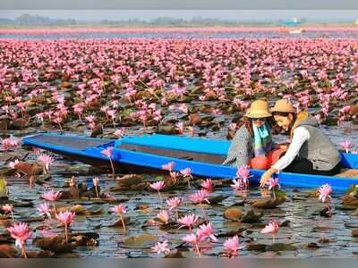 Red Lotus Sea (Talay Bua Daeng), Udon Thani, Thailand