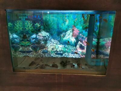 Trang Aquarium, Thailand