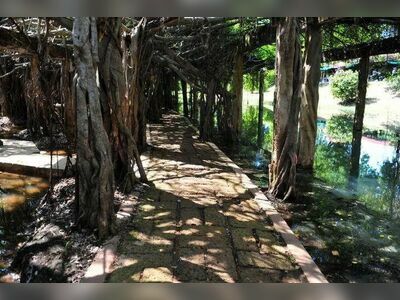 Sai Ngam, Nakhon Ratchasima, Thailand