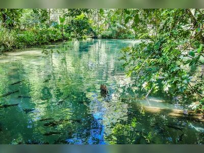 Tham Pla Fish Cave, Mae Hong Son, Thailand