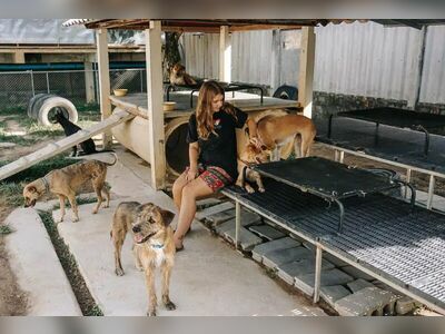 Lanta Animal Welfare, Thailand
