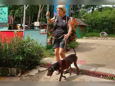 Lanta Animal Welfare, Thailand