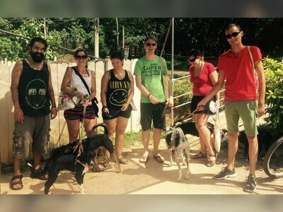 Lanta Animal Welfare, Thailand