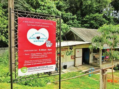 Lanta Animal Welfare, Thailand