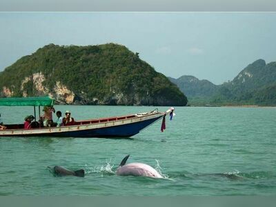 Laem Prathap, Suratthani, Thailand