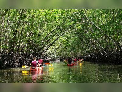 Ao Thalane, Krabi, Thailand: A Natural Wonderland