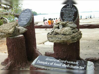 Krabi Shell Cemetery (Susan Hoi), Krabi, Thailand: A Geological Wonder