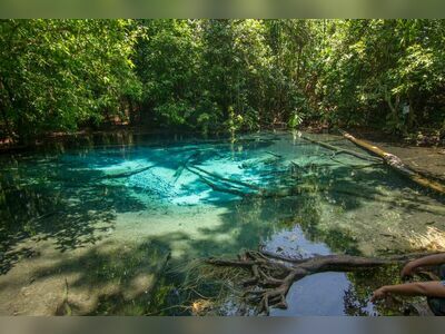 Thung Teao Forest Natural Park, Krabi, Thailand: A Pristine Natural Haven