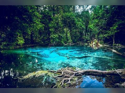 Thung Teao Forest Natural Park, Krabi, Thailand: A Pristine Natural Haven