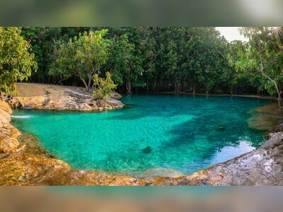 Thung Teao Forest Natural Park, Krabi, Thailand: A Pristine Natural Haven