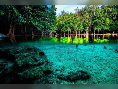 Thung Teao Forest Natural Park, Krabi, Thailand: A Pristine Natural Haven
