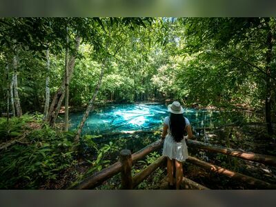 Thung Teao Forest Natural Park, Krabi, Thailand: A Pristine Natural Haven