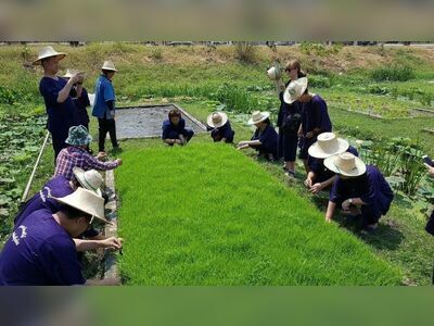 Organic Agriculture Project at Wat Pa Sak, Sukhothai, Thailand