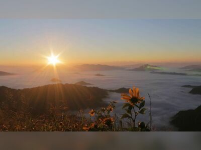 Phu Chi Fa, Chiang Rai, Thailand