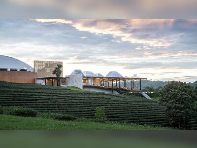 Choui Fong Tea Plantation, Chiang Rai, Thailand