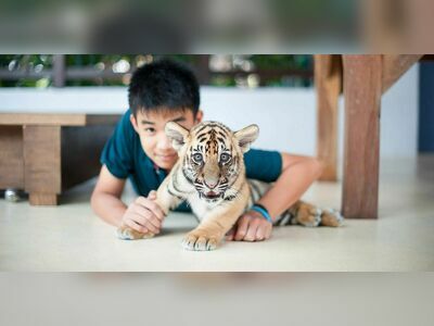 Samui Aquarium and Tiger Zoo, Koh Samui, Thailand