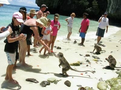 Monkey Beach, Koh Phi Phi, Thailand