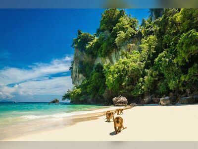 Monkey Beach, Koh Phi Phi, Thailand