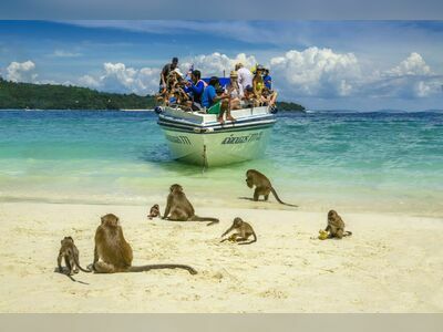 Monkey Beach, Koh Phi Phi, Thailand