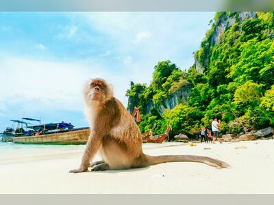 Monkey Beach, Koh Phi Phi, Thailand