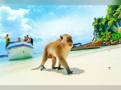 Monkey Beach, Koh Phi Phi, Thailand