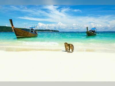 Monkey Beach, Koh Phi Phi, Thailand