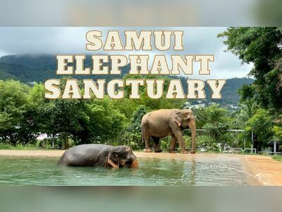 Samui Elephant Sanctuary, Koh Samui, Thailand