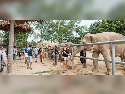 Samui Elephant Sanctuary, Koh Samui, Thailand