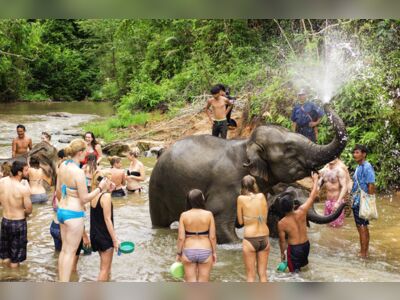 Samui Elephant Sanctuary, Koh Samui, Thailand