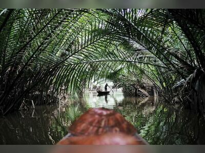 Tapee River Cruise, Suratthani, Thailand