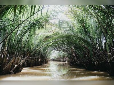Tapee River Cruise, Suratthani, Thailand