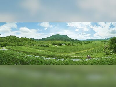 Hua Hin Hills Vineyard, Thailand