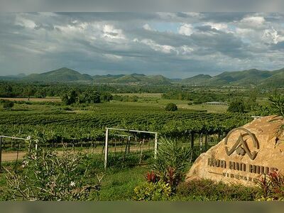 Hua Hin Hills Vineyard, Thailand