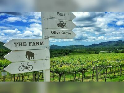 Hua Hin Hills Vineyard, Thailand