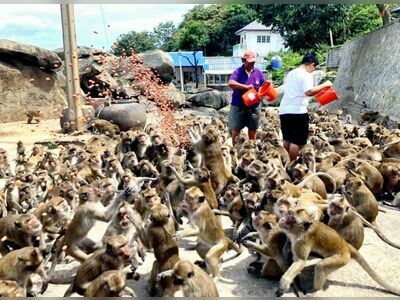Khao Takiab (Monkey Mountain), Hua Hin, Thailand