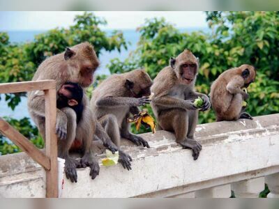 Khao Takiab (Monkey Mountain), Hua Hin, Thailand