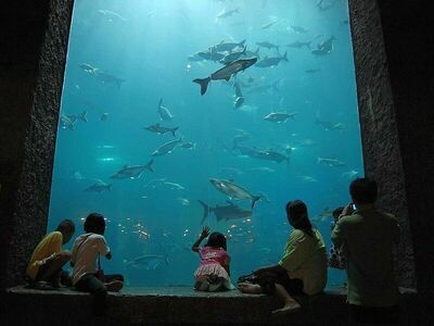 Nong Khai Aquarium, Nong Khai, Thailand