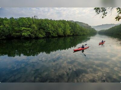 Mangrove Forest Kayaking, Koh Kood, Thailand