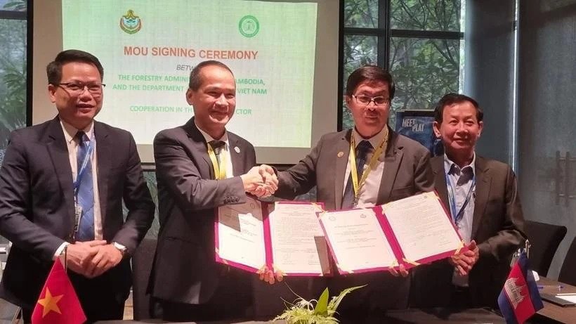 27th ASEAN Senior Officials on Forestry (ASOF 27) Meeting Highlights Regional Cooperation