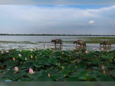 Huai Talat Reservoir, Buriram, Thailand