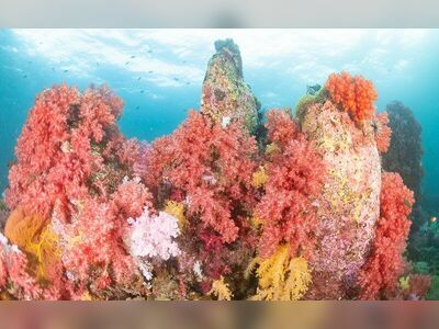 Stonehenge Dive Site, Koh Lipe, Thailand